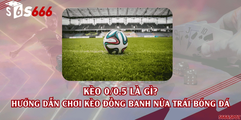 Kèo 0/0.5 là gì? Hướng dẫn chơi kèo đồng banh nửa trái bóng đá