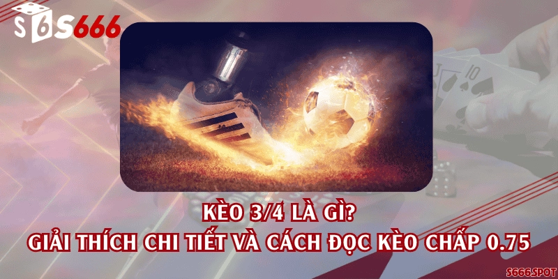 Kèo 3/4 là gì? Giải thích chi tiết và cách đọc kèo chấp 0.75