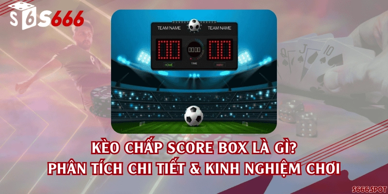 Kèo chấp score box là gì? Phân tích chi tiết & kinh nghiệm chơi