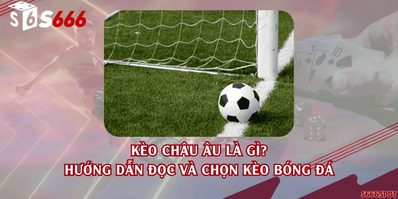 Kèo châu Âu là gì? Hướng dẫn đọc và chọn kèo bóng đá