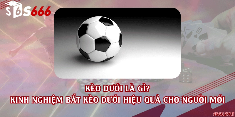 Kèo dưới là gì? Kinh nghiệm bắt kèo dưới hiệu quả cho người mới