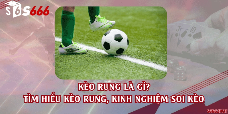 Kèo rung là gì? Tìm hiểu kèo rung, kinh nghiệm soi kèo