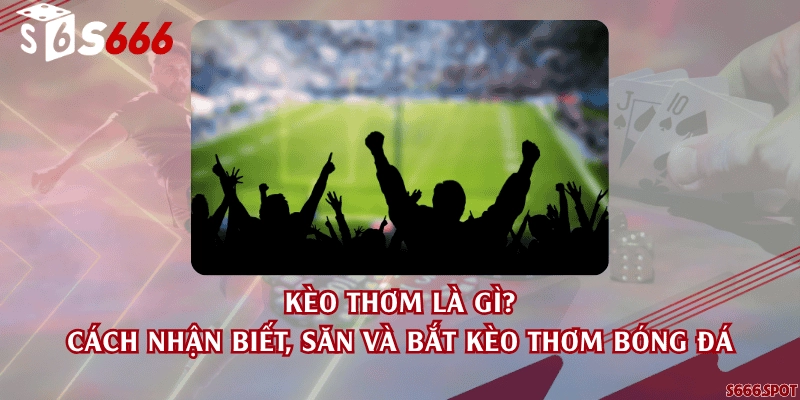 Kèo thơm là gì? Cách nhận biết, săn và bắt kèo thơm bóng đá